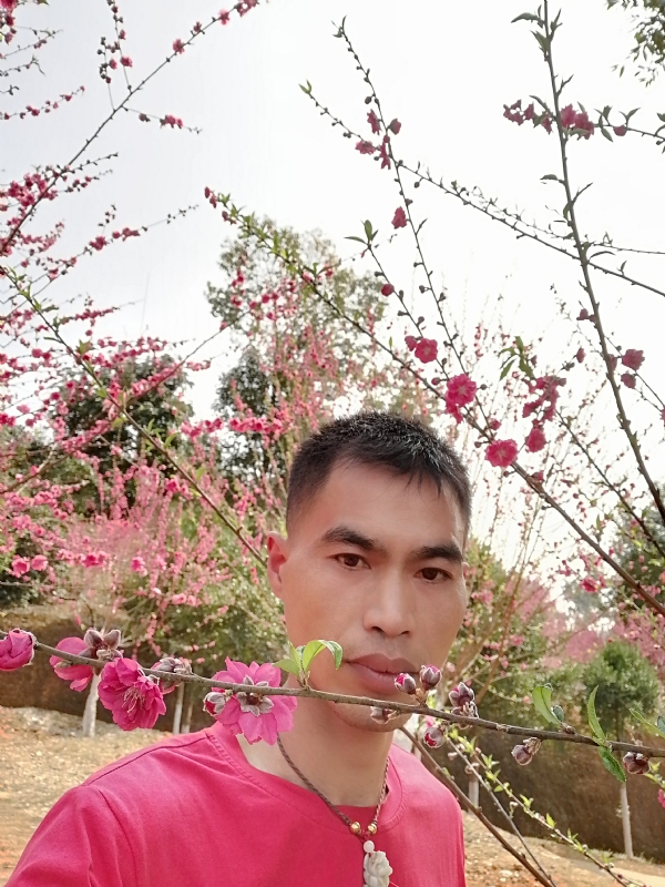 惜緣的第一张照片--洛阳相亲服务中心