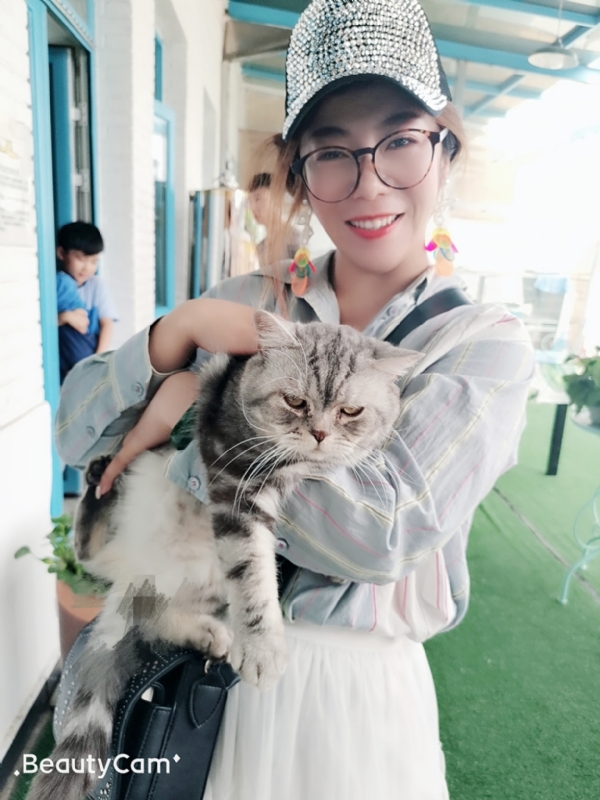 小黑猫的第一张照片--洛阳相亲服务中心