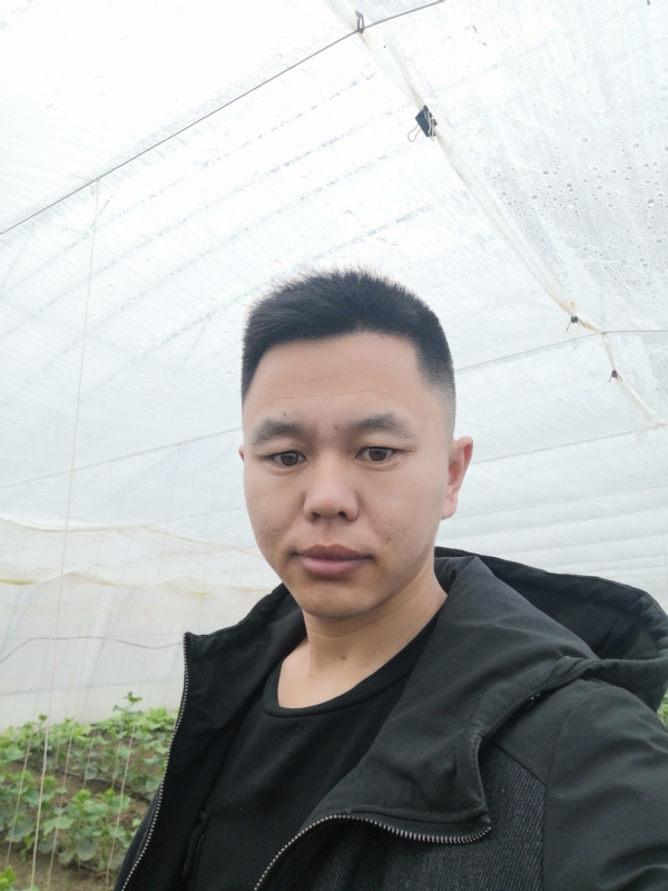 宇成的第二张照片--洛阳相亲服务中心