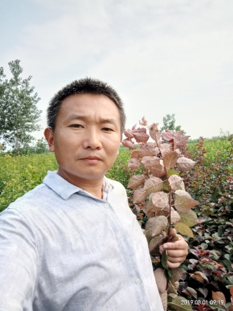 孩子爸的第一张照片--洛阳相亲服务中心