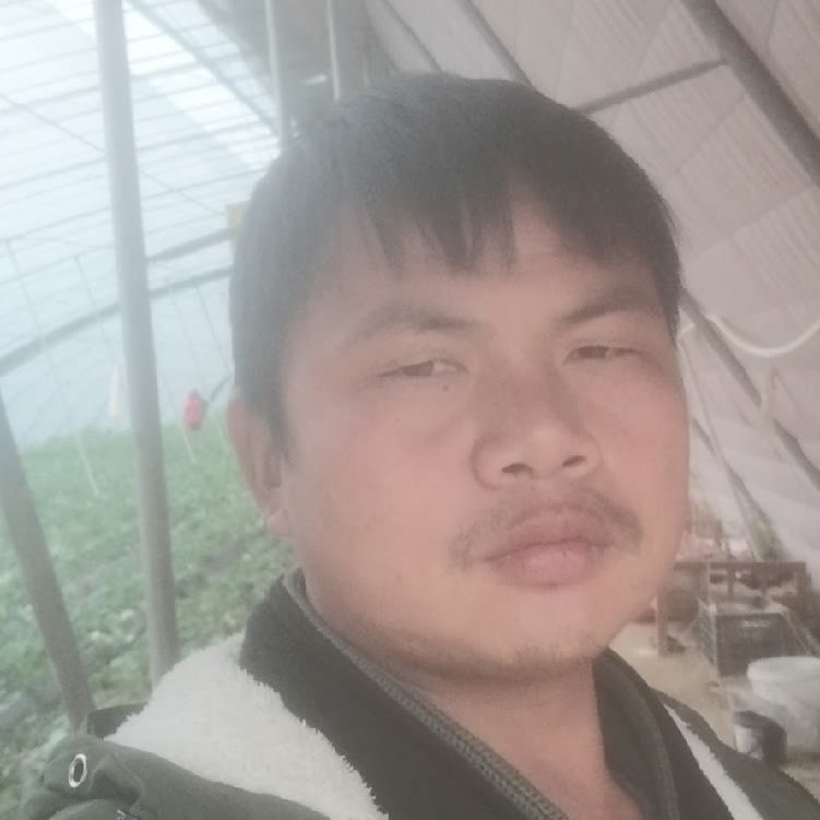 孤狼‘的第一张照片--洛阳相亲服务中心