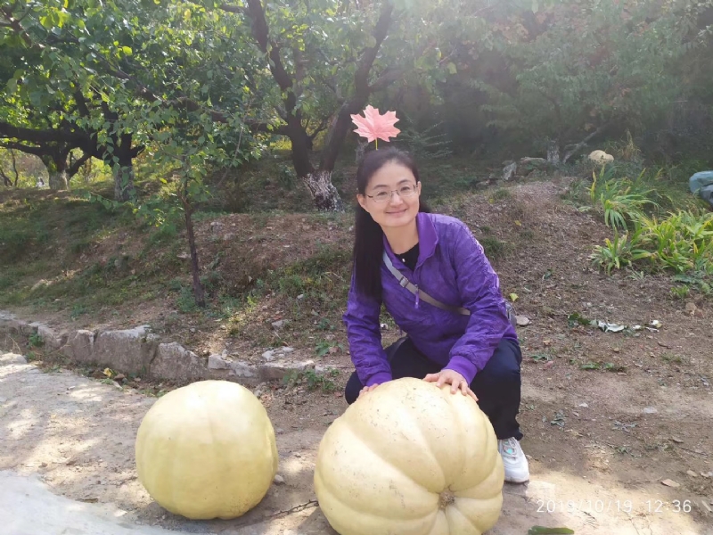 海绵宝宝的第一张照片--洛阳相亲服务中心