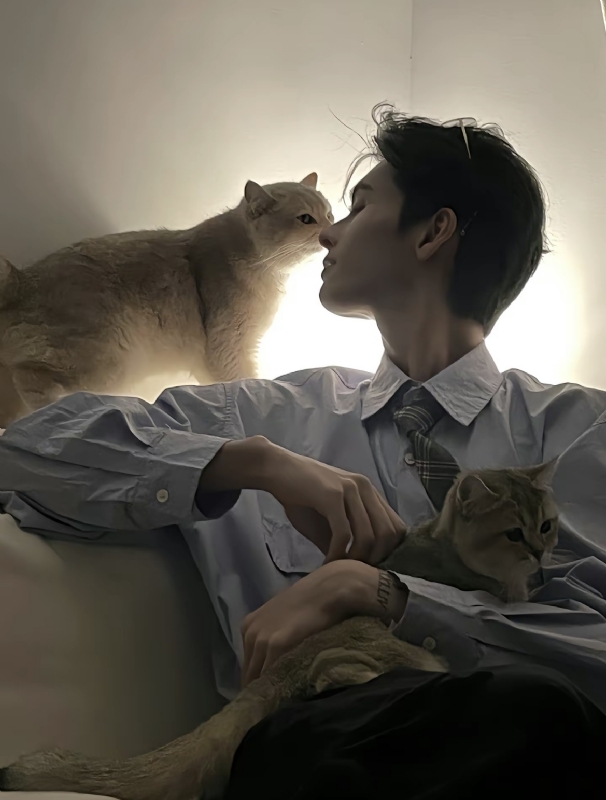 怪猫的第一张照片--洛阳相亲服务中心
