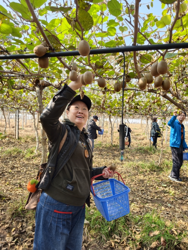 夜莺的第三张照片--洛阳相亲服务中心
